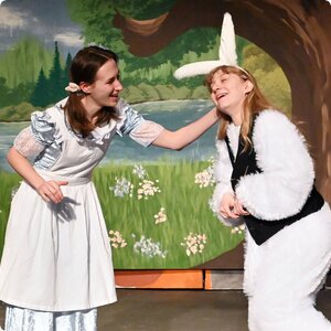 Die Geschichten von Alice im Wunderland