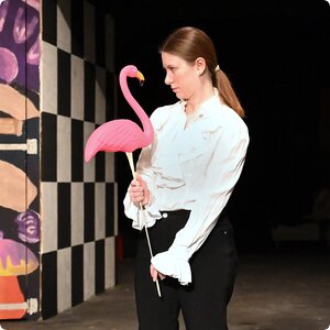 Die Geschichten von Alice im Wunderland